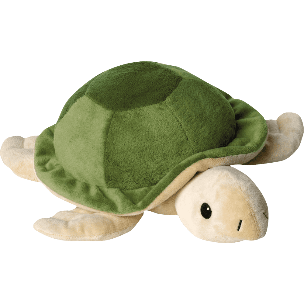Turtle fill. Turtle plush.